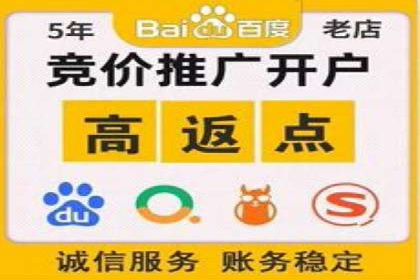 某电商平台的SEM广告投放策略及效果评估
